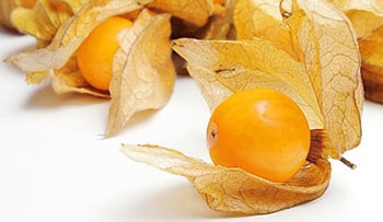 La uchuva fruta conocida en España como alquenqueje o más comúnmente como physalis