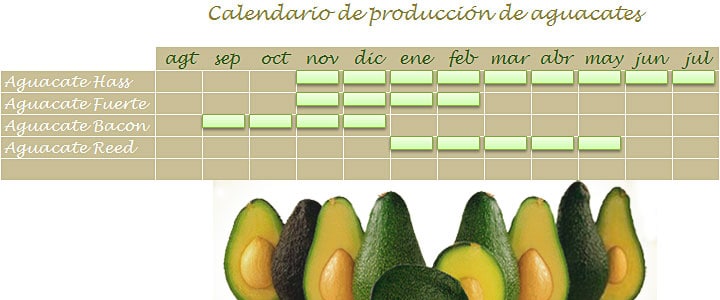 Calendario de cosecha de aguacates en Málaga