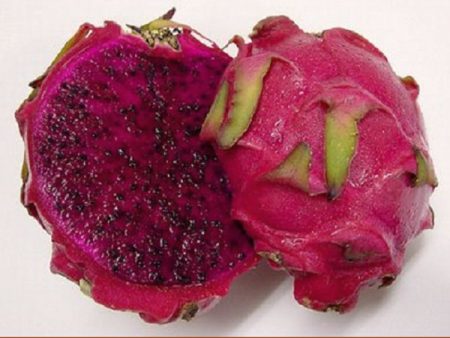 Fruta de la planta de pitahaya roja JC02