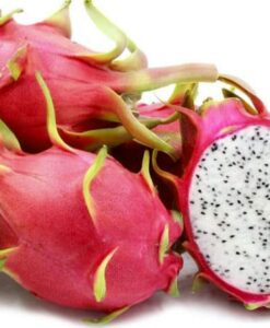 Fruta de pitaya roja con carne blanca, variedad H. undatus