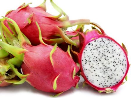 Fruta de pitaya roja con carne blanca, variedad H. undatus