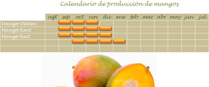 Calendario de cosecha de mango en Málaga