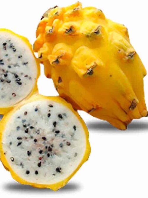 Esta fruta de pitaya amarilla la puedes comprar online