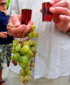 Vino de Cómpeta, de uva Moscatel asoleada