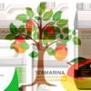 Fertilizantes para mango en cultivo ecológico