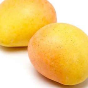 Fruta del árbol de mango Kensington Pride