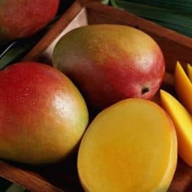 Fruto de la planta de mango Sensación